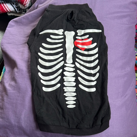 Small, Black, Skeleton for Small Dog - Picture 1 of 4